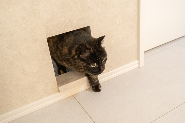 『いろはこ』の社員が建てた ホテルライク＆高性能な二世帯住宅